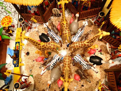 MAG Afrika-INDIA – 28.jpg