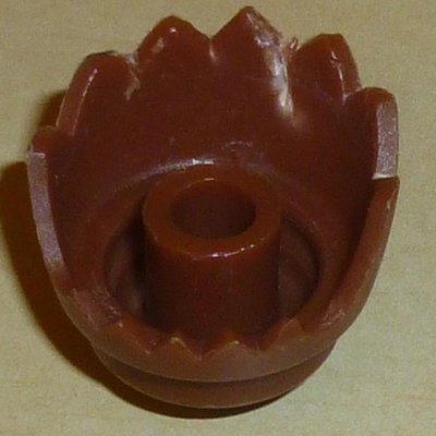 P1040134.JPG (86.97 KiB) 1158 mal betrachtet P1040134.JPG