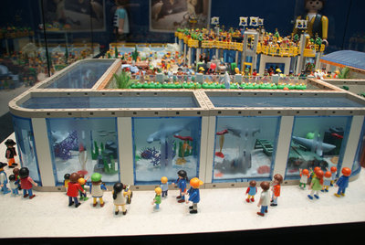 DSC02221.JPG