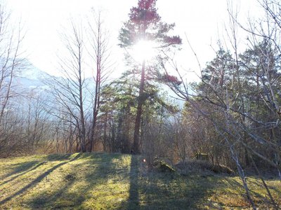 Schotten9.jpg