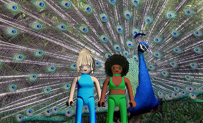 Urania_037.jpg (247.13 KiB) 2233 mal betrachtet Urania_037.jpg