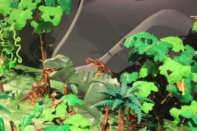 20140406_073.JPG