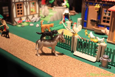 20140406_131.JPG