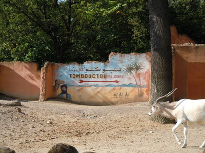 DSCN4650.JPG