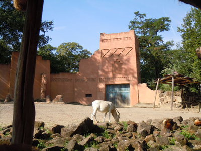 DSCN4648.JPG