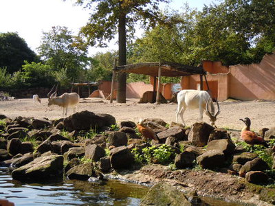 DSCN4647.JPG