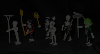 DSCN6141.jpg