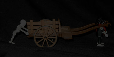 DSCN6139.jpg