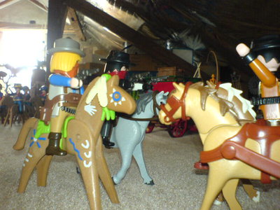 DSC02594.JPG