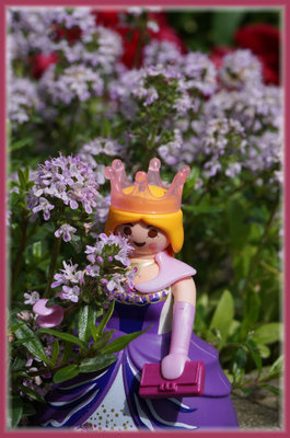 Rosmarinprinzessin.jpg