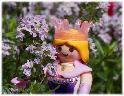 Rosmarinprinzessin2.jpg
