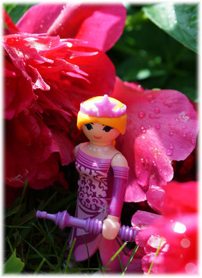 Pringstrosenregen.jpg
