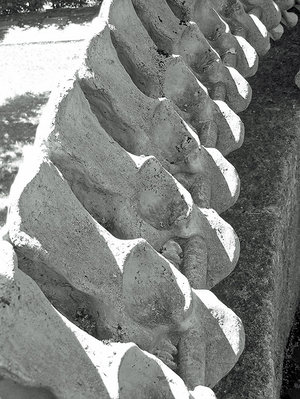 Das_Idol_057.jpg (249.55 KiB) 3708 mal betrachtet Bild: Privat.
