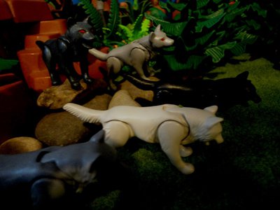 Tiere 002.jpg