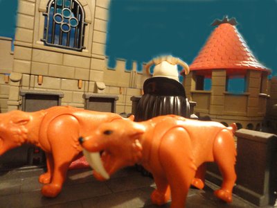 c001.jpg