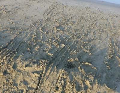 P1140247.JPG (245 KiB) 1477 mal betrachtet Ein kleines relativ einsames Stück Strand, aber bei Automobilisten sichtlich beliebt. Luft 32°C, Wasser 27°C - alles optimal...