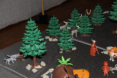 IMG_2935.JPG