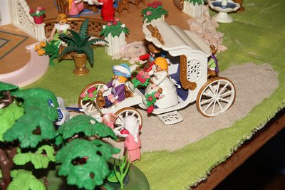IMG_3224.JPG