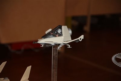 IMG_3002.JPG