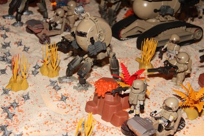 IMG_3006.JPG