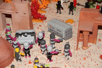 IMG_3004.JPG