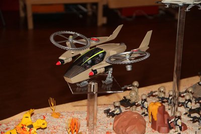 IMG_3003.JPG