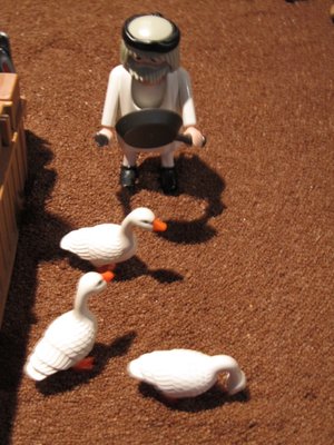 IMG_8615.JPG