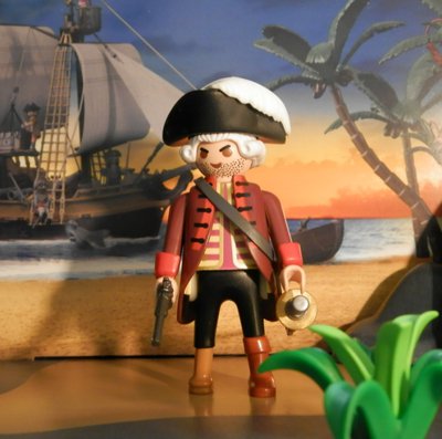 Pirate Captain.JPG (173.91 KiB) 2391 mal betrachtet Pirate Captain.JPG
