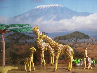 afrika 3 (4).jpg