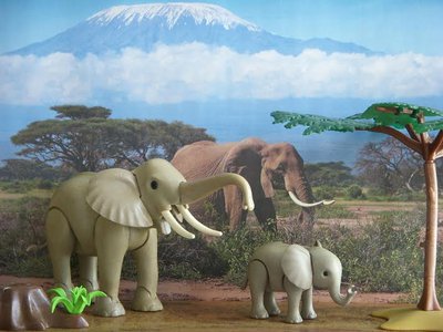 afrika 3 (2).jpg