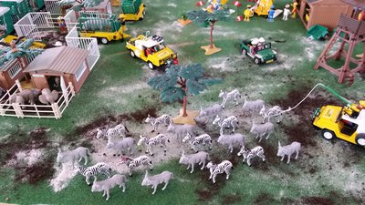 20141024_161658.jpg