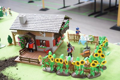 Allgäu-Börse Bilder 2014 026.JPG