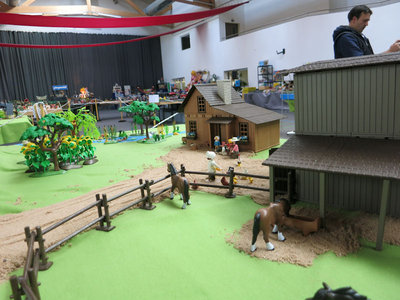 IMG_4169.jpg