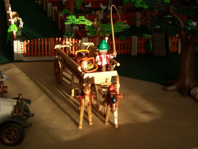 Elise L leiterwagen 2418.jpg