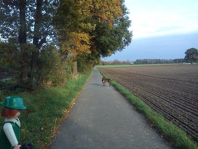 Felix (4).jpg (50.69 KiB) 2323 mal betrachtet Felix kann sich gar nicht sattsehen an diesem genialen Hund