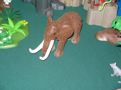 IMG_1725.JPG