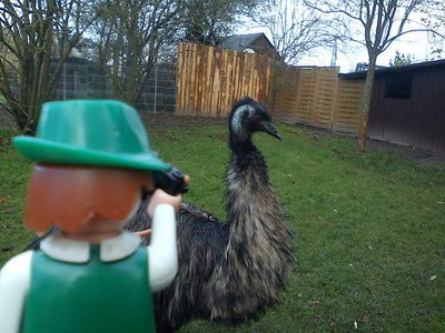 DSC00455.jpg (50.55 KiB) 2171 mal betrachtet Dann fiel es Felix ein, ein Emu