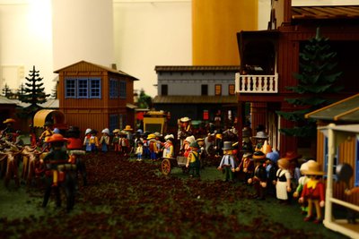 w13.jpg