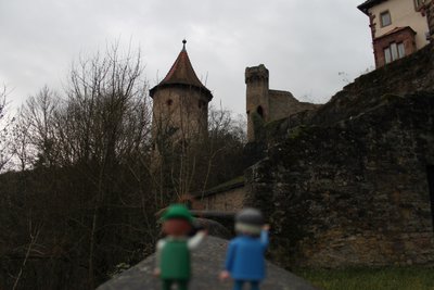 IMG_4984.jpg
