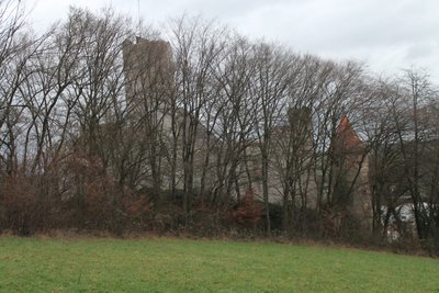 IMG_4998.jpg