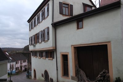 IMG_5003.jpg