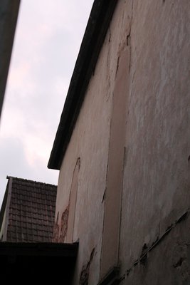 IMG_5006.jpg