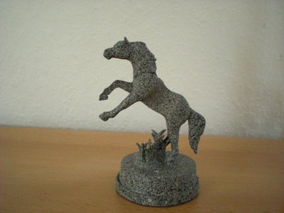 CIMG2154.JPG