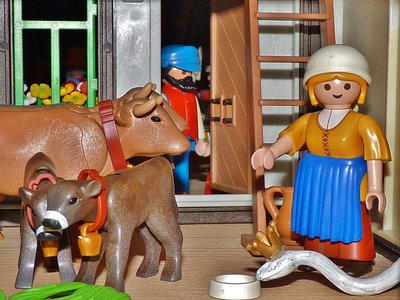 Natter 6.JPG (245.88 KiB) 3120 mal betrachtet Natter 6.JPG