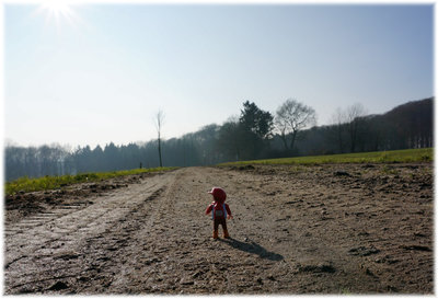 dieserWeg.jpg