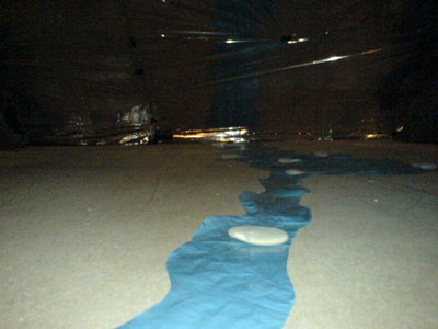 DSC03220.JPG