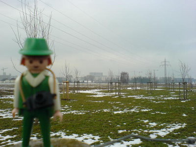 DSC03223.JPG