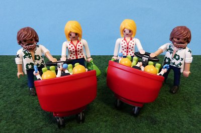 Playmobil Zwillinge.JPG