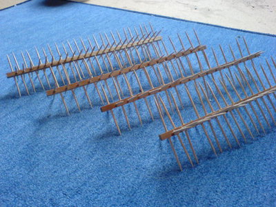 DSC03340.JPG