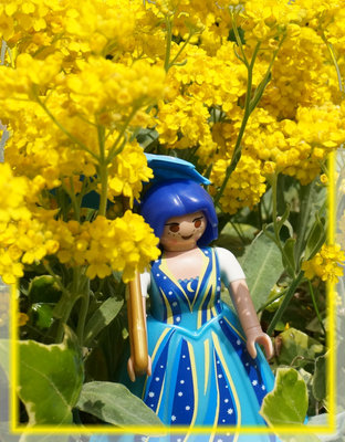 gelb-blau.jpg